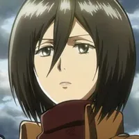 mikasa