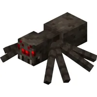 spider