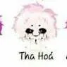 hiha tha hóa