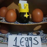 1 eggs