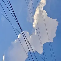 Tất Cả Học Sinh Có Mặt