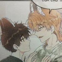 Hải sâm/ ship h.yuki