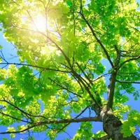 °♪^^Mega·School@ykienlataothachodo