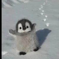 tg cute