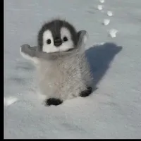 Hệ thống ( cánh cụt)