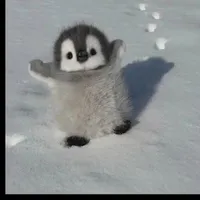 hệ thống con (₫ĩ)