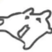 T/g