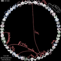 Tác giả trời đánh