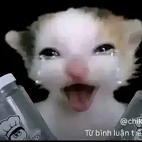 MC . đám cưới