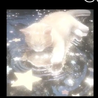 dâu