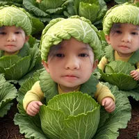 Bắp cải🥦