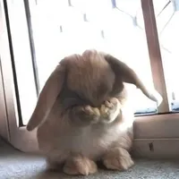 TG/trẫm