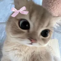 ??
