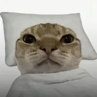 Tác giả trầm tính 😶