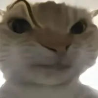 Mấy con mồm lèo 