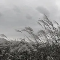 ~H/n~
