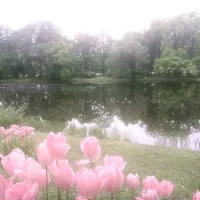 💐𝙽𝚑𝚊̂𝚗 𝚟𝚊̣̂𝚝 𝚋𝚒́ 𝚊̂̉𝚗-𝟸💐