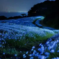 ❄𝙽𝚑𝚊̂𝚗 𝚟𝚊̣̂𝚝 𝚋𝚒́ 𝚊̂̉𝚗-𝟹❄