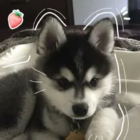 °Hệ thống088-Seni°