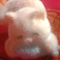 Min đây
