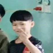 Chu Nhật Anh