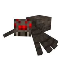 spider🕷