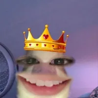gì!!