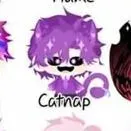 🐱🟣hiha catnap🟣🐱