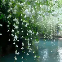 CLB–Truyền thông