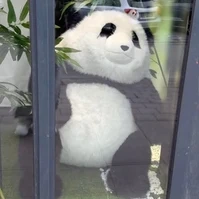 Mấy thk bot 