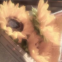 t/g (2) Don (Mr.don)