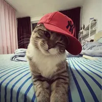 All(trừ ai thì trừ)