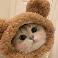 Các hắn