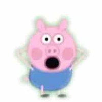 Bin🐷