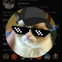 Catg