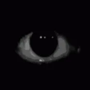 [???vô danh???]