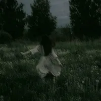 heo nái lười bome