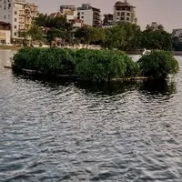 T/G là thượng đế