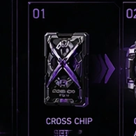 chip