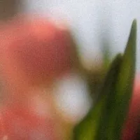 ？？？