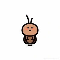 T/G