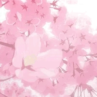 Bí ẩn 