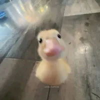 Hệ thống khùn ( là t/g luôn á) - muzik