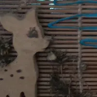 Tôi