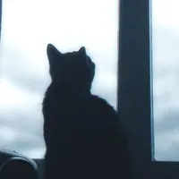 ⊹ 𝑳𝒂𝒗𝑫 [ 𝑨𝒖𝒕𝒉𝒐𝒓 ] ⊹