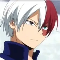 shoto Todoroki