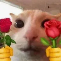 Lười ra truyện nhưng hay có idea mới🌷