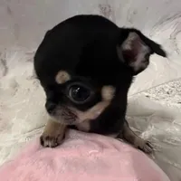 khôn nhà dại gái ☆ @littlecandy.