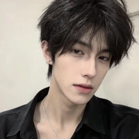 Triệu tử long