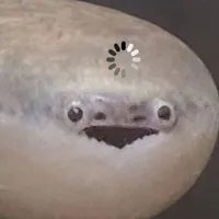 con cá T/g
